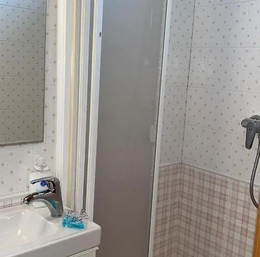 Salamandra Apartamento Panticosa