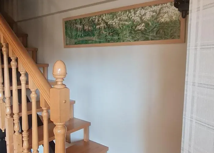 아파트 Salamandra *